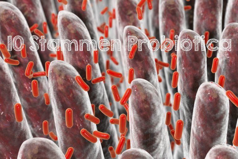 probiotica