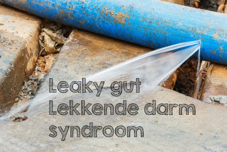 leaky gut lekkende darmsyndroom