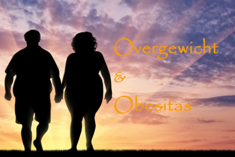 overgewicht en obesitas